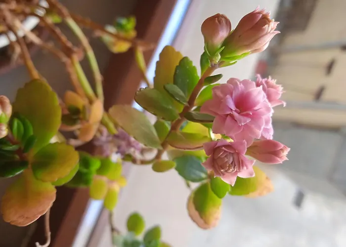 Casa Stella * Castel Di Sangro